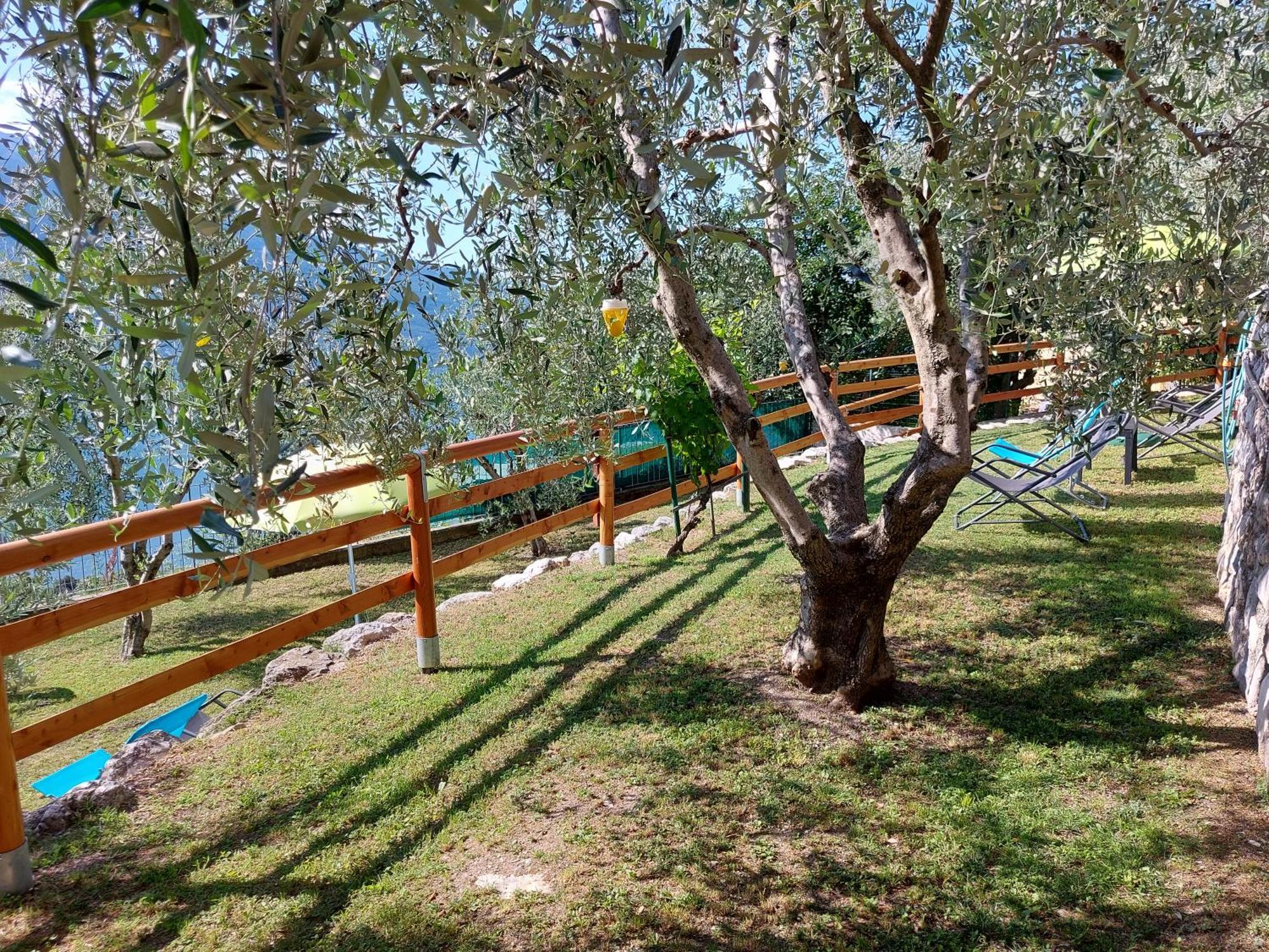 Apartament Ulivi Sul Garda Garden By Gardadomusmea Tremosine Zewnętrze zdjęcie