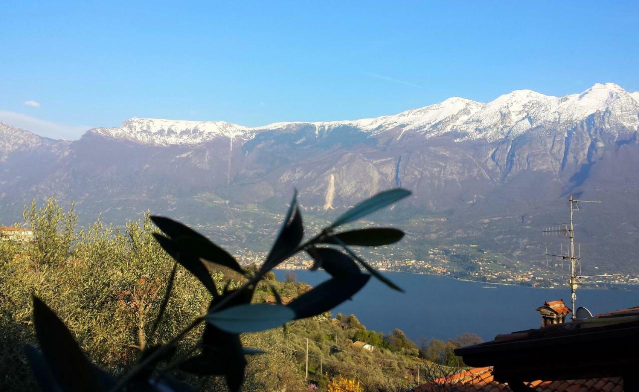 Apartament Ulivi Sul Garda Garden By Gardadomusmea Tremosine Zewnętrze zdjęcie