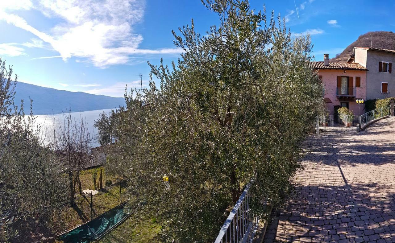 Apartament Ulivi Sul Garda Garden By Gardadomusmea Tremosine Zewnętrze zdjęcie